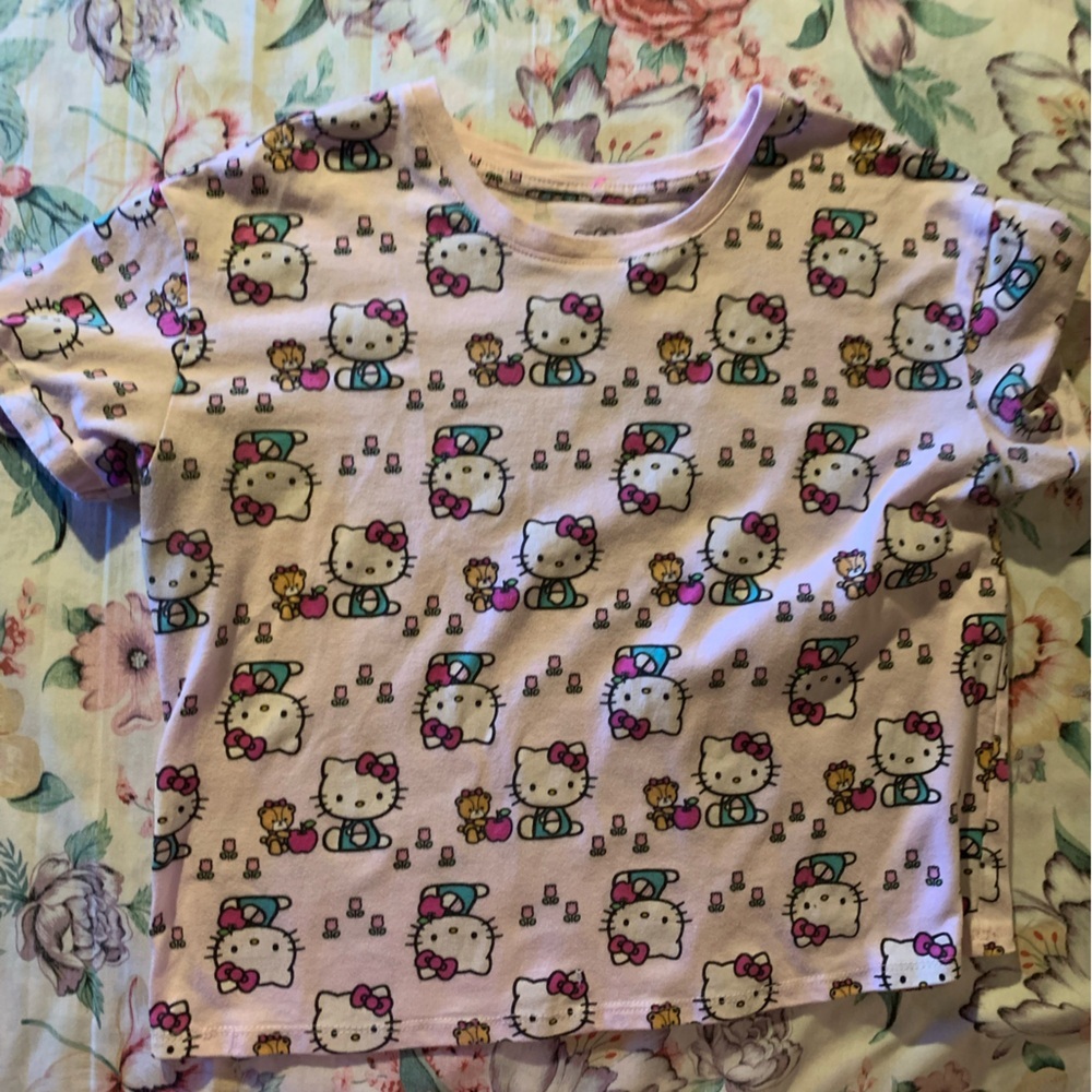 Sanrio Hello Kitty Pink and White Short Sleeve Tee Size X-Large (16)